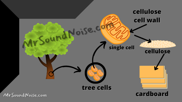 cellulose to cardboard manufacturing