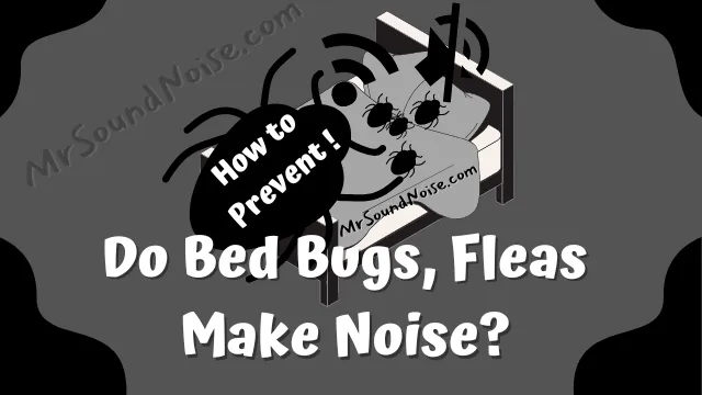 do bed bugs, fleas make noise